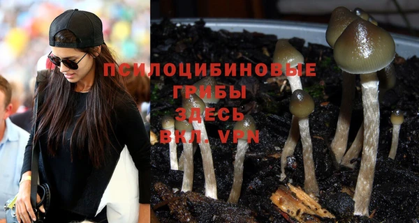 ГАЛЛЮЦИНОГЕННЫЕ ГРИБЫ Наволоки