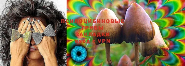 ГАЛЛЮЦИНОГЕННЫЕ ГРИБЫ Наволоки