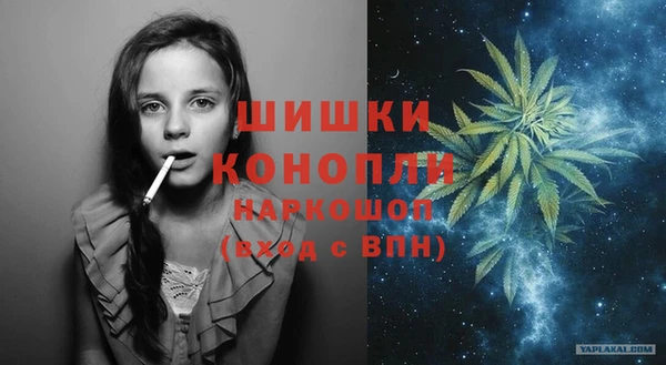 ГАЛЛЮЦИНОГЕННЫЕ ГРИБЫ Наволоки