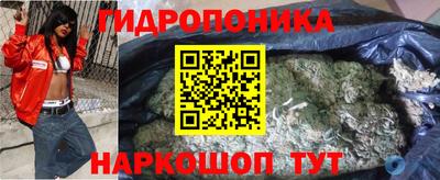 кокс Кингисепп