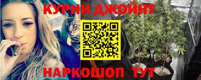 кокс Кингисепп