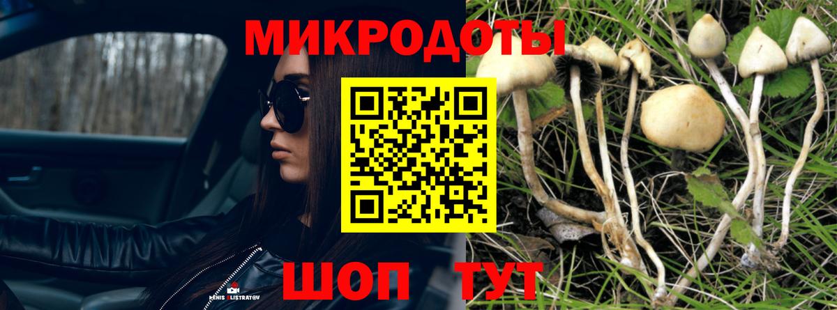 Хэш  MDMA  Вход с VPN  Мефедрон  Конопля  Мяу-Мяу  Моздок  Каннабис  Гашиш  Alpha-PVP  Cocaine  АМФ 