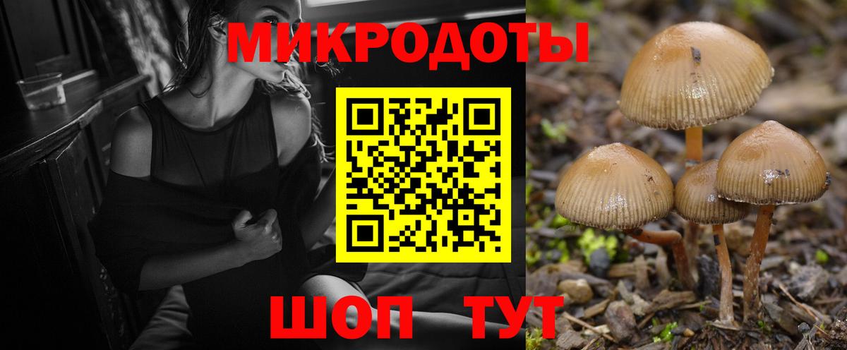 Моздок  Галлюциногенные грибы GOLDEN TEACHER  Вход с VPN 